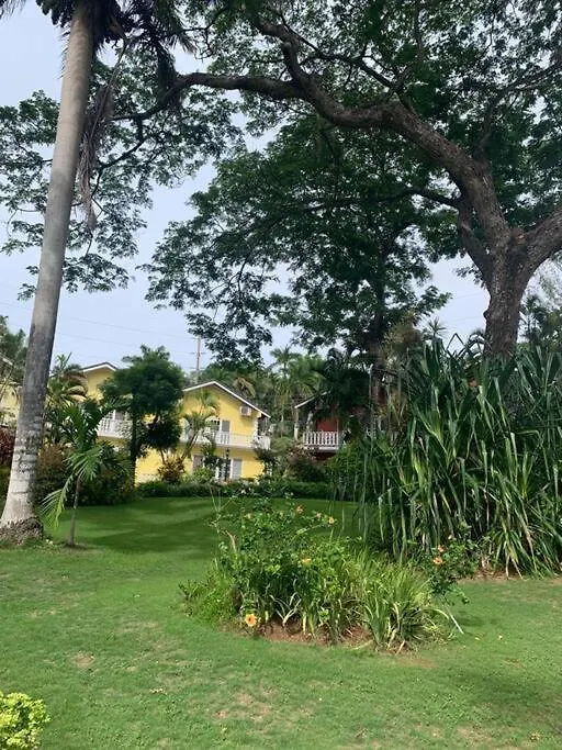 Guango Grove Getaway Apartment Montego Bay